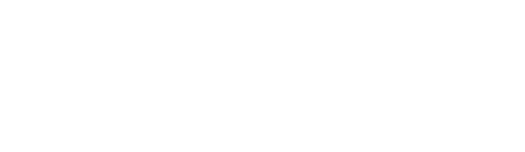 11月4・5・6　サクラ花公開！
